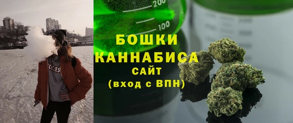 a pvp Горняк