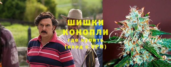 дживик Горнозаводск